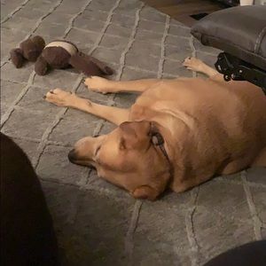 Meet your Posher, Kim